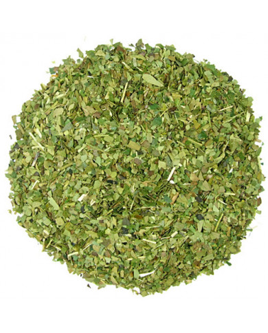 Yerba Mate Ginko