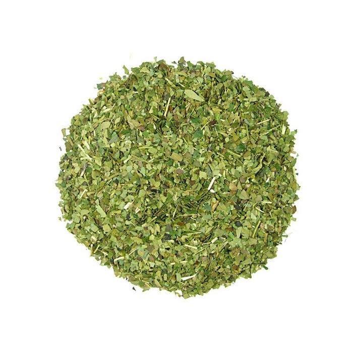 Yerba Mate Ginko