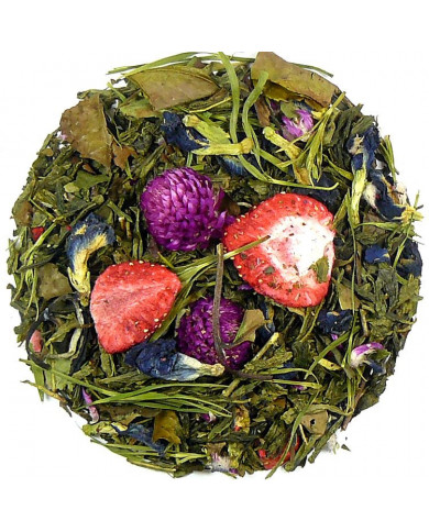 Zielona Herbata Bella – Delikatnie Owocowa