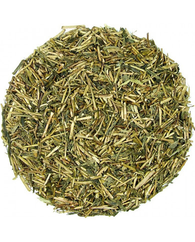 Herbata Zielona - Kukicha